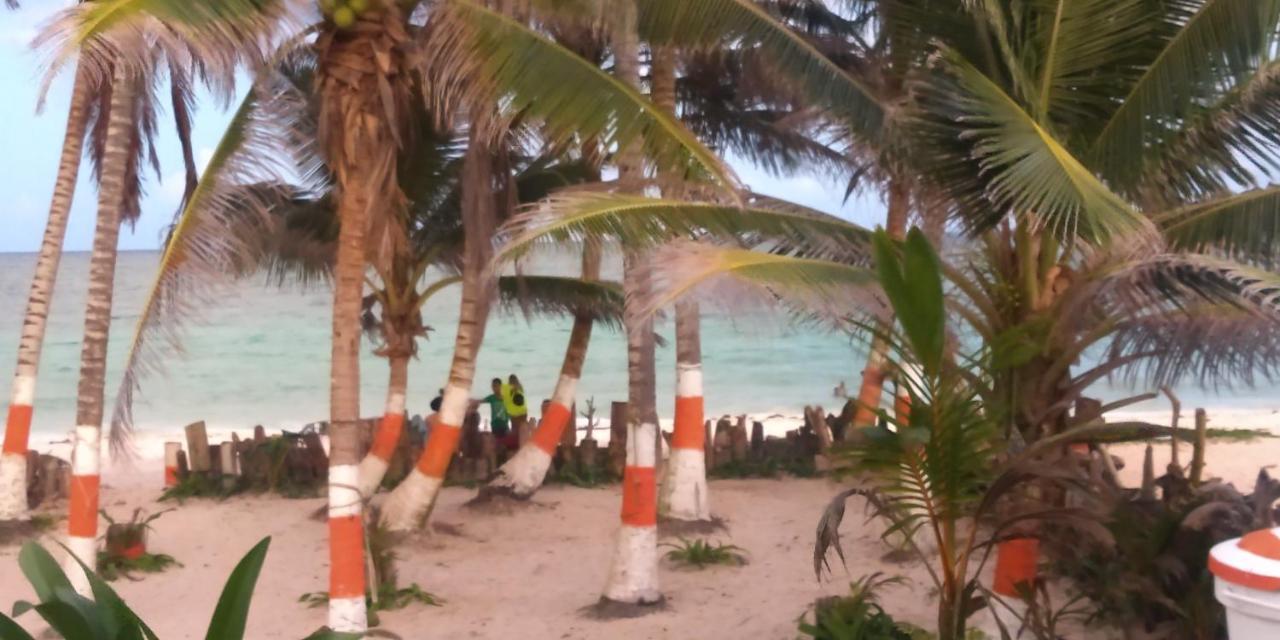 Sunny Beach Apartments San Andrés Exterior foto